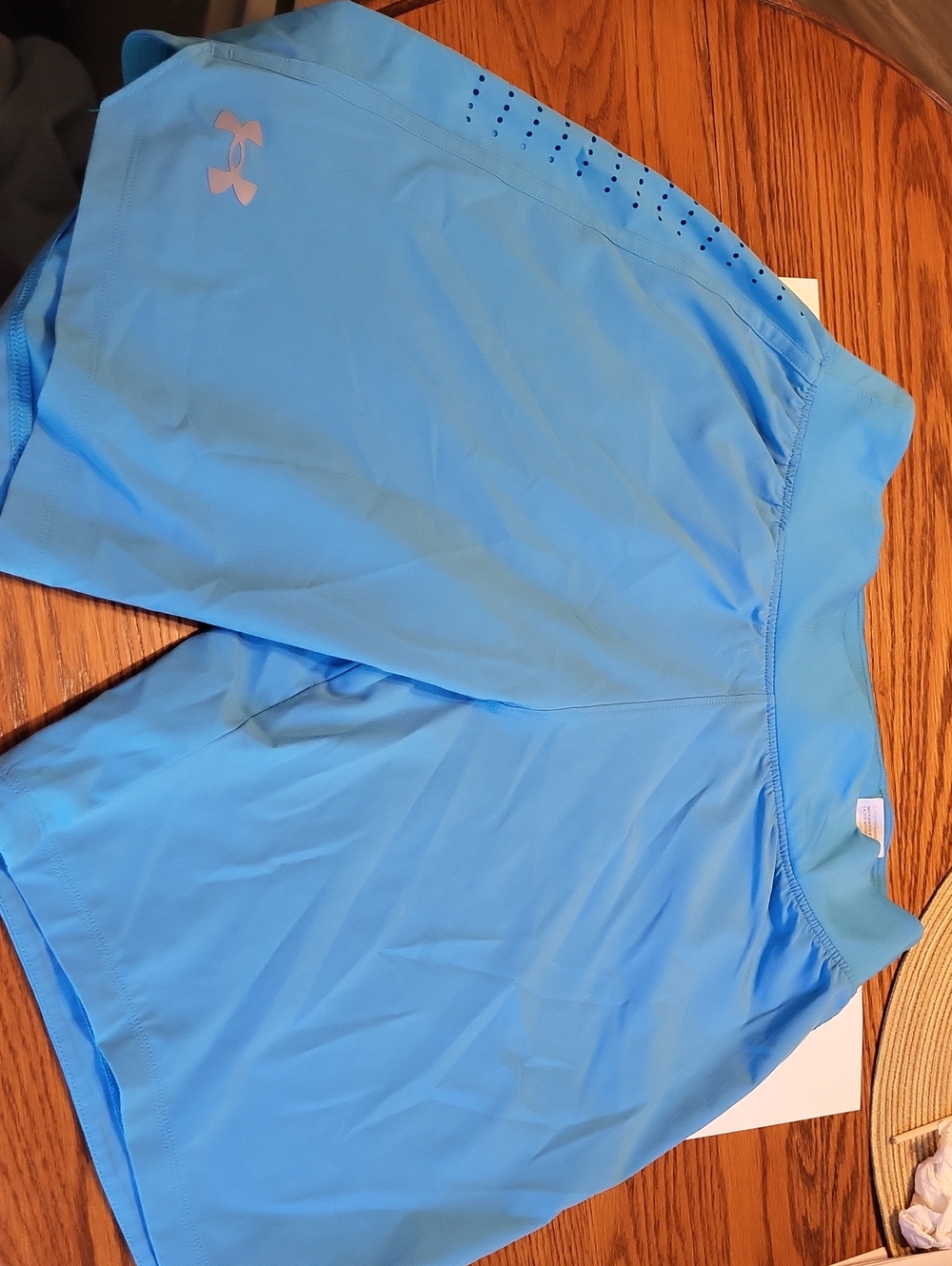 Under Armour Sky Blue Perforated Training Shorts